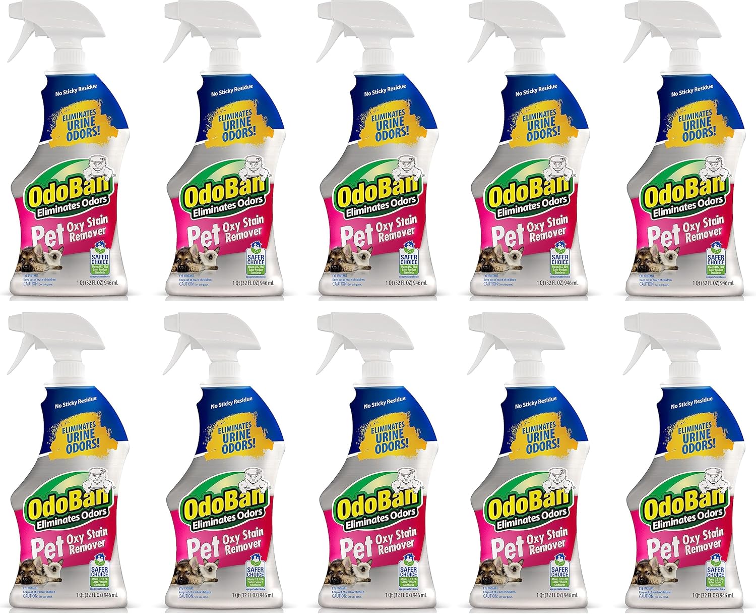 OdoBan Pet Solutions Oxy Stain Remover for Tough Pet Stains