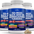 Silica Sea Moss Capsules with Black Seed Oil and Turmeric - Advanced