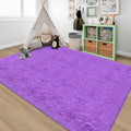 5x8 ft Fluffy Shag Area Rug for Bedroom and Living Room
