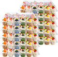 24 Count Cupcake Containers 20 Pack - Stackable Clear Cupcake Boxes