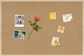 Cork Board Bulletin Board 36x24 - Sturdy Oak Pin Board for Office