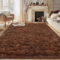 Large Shag Area Rugs 6x9 for Living Room - Soft Fluffy Brown Rug