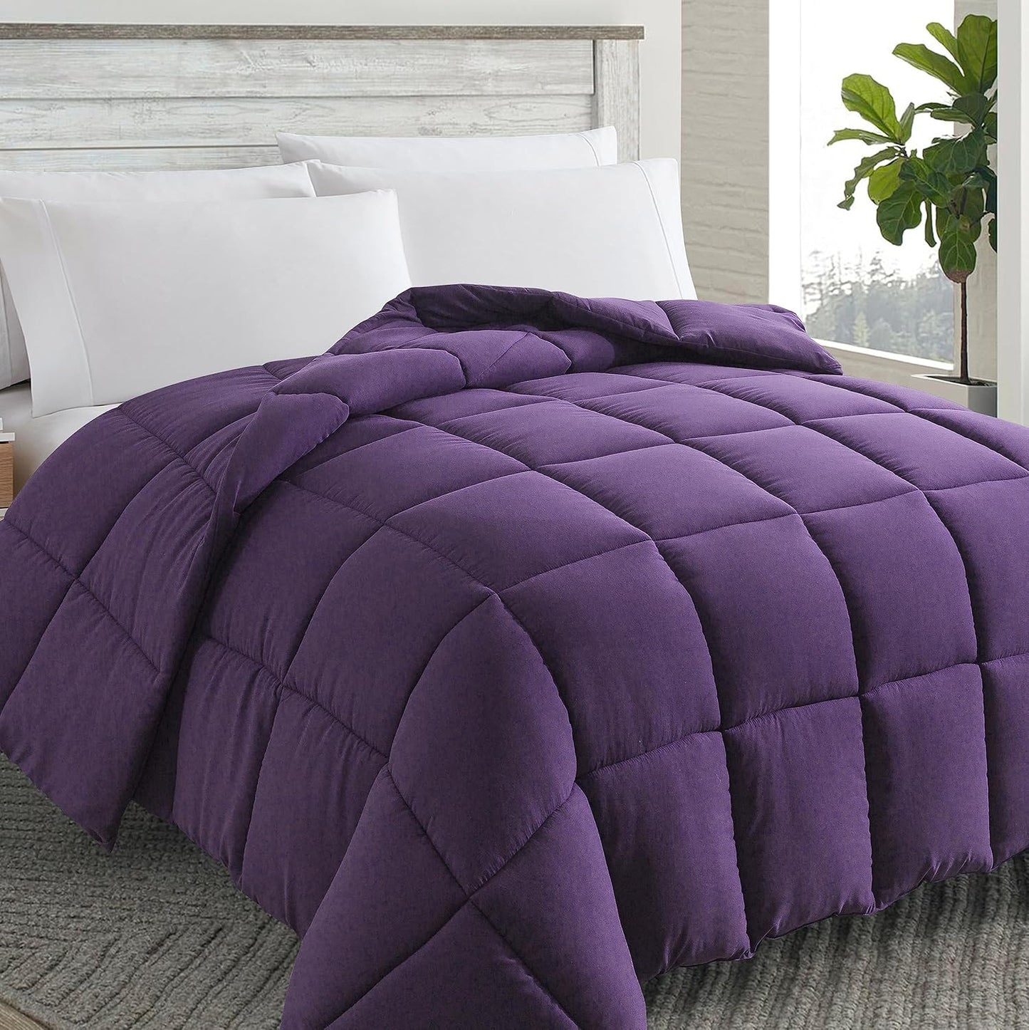 Cosybay Down Alternative Comforter for King Size Beds