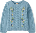Gymboree Baby and Toddler Long Sleeve Crew Neck Pullover Sweater
