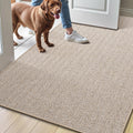 LUMI Ultra Thin Indoor Door Mat 36x56 - Low Profile Non-Slip