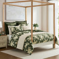 Wonderful Velvet Quilt Set Box Stitched Army Green King - Cozy