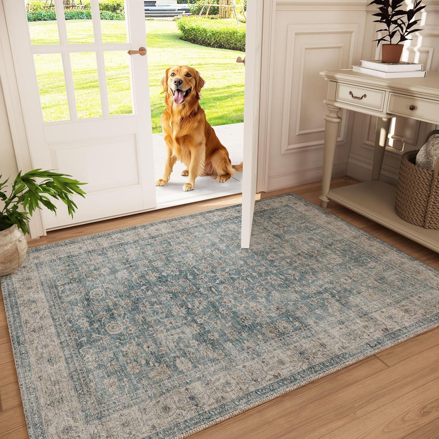 Machine Washable Entryway Throw Rug for Indoor Entrance Use