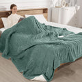 Heated Blanket King Size Electric - Dual Controls, 5 Heat Levels