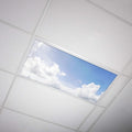 Fluorescent Light Cover 2x4 Backlit Film Insert Pack of 1 - Classroom