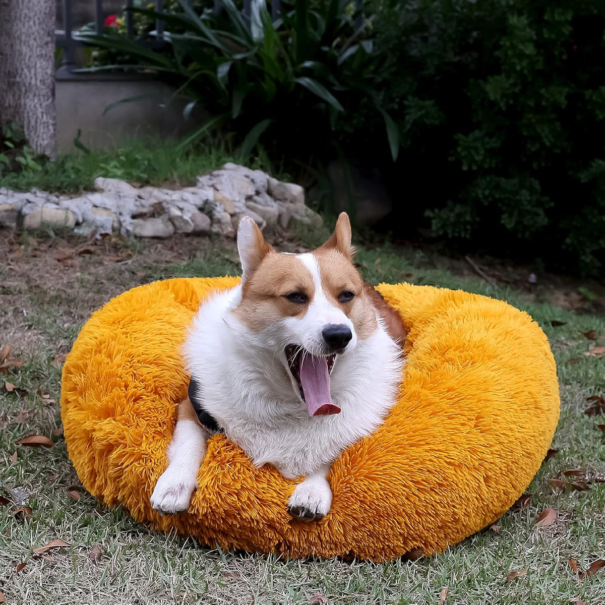 Nononfish Calming Pet Bed for Medium Dogs Up to 30lbs Orange
