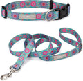 Boho Chic Matching Dog Collar and Leash Set for Stylish Dogs