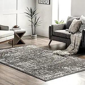 nuLOOM Arlena Vintage Area Rug in Charcoal - Stylish 6ft x 9ft