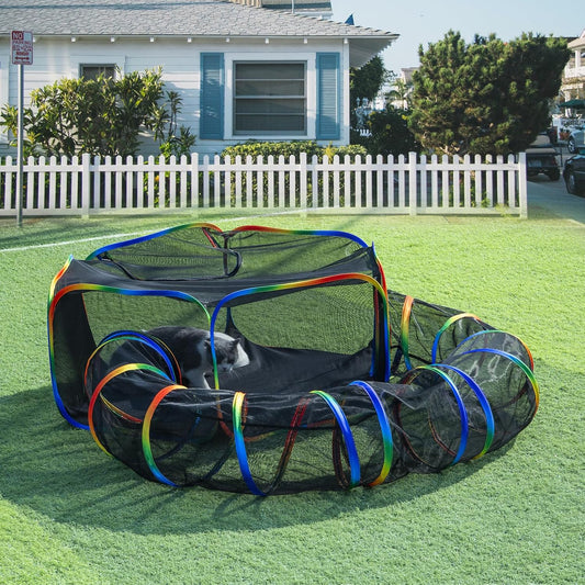 Rainbow Cat Enclosures: Ultimate Indoor Cat Playground