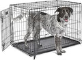 iCrate Single & Double Door Dog Crate - Secure, Portable Solution