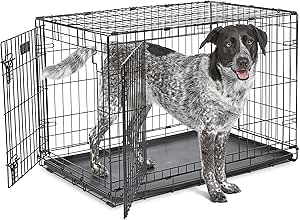 MidWest iCrate Dog Crate with Enhanced Security Features