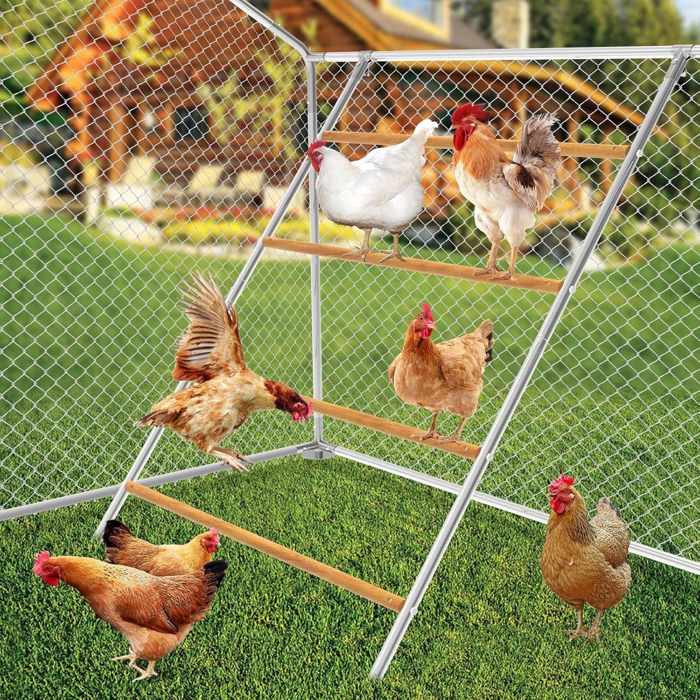 Large Chicken Roosting Bars for Backyard Poultry and Coops