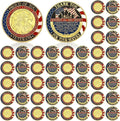 Veteran Challenge Coins 48 Pcs - Patriotic 4th of July Commemorative