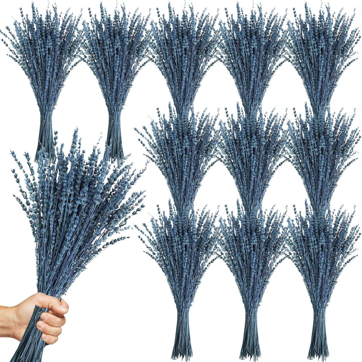 Dried Lavender Flowers Bundles for Home Fragrance and Decor