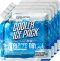 48-Hour Cool: Everlasting Ice RX 4 Pack