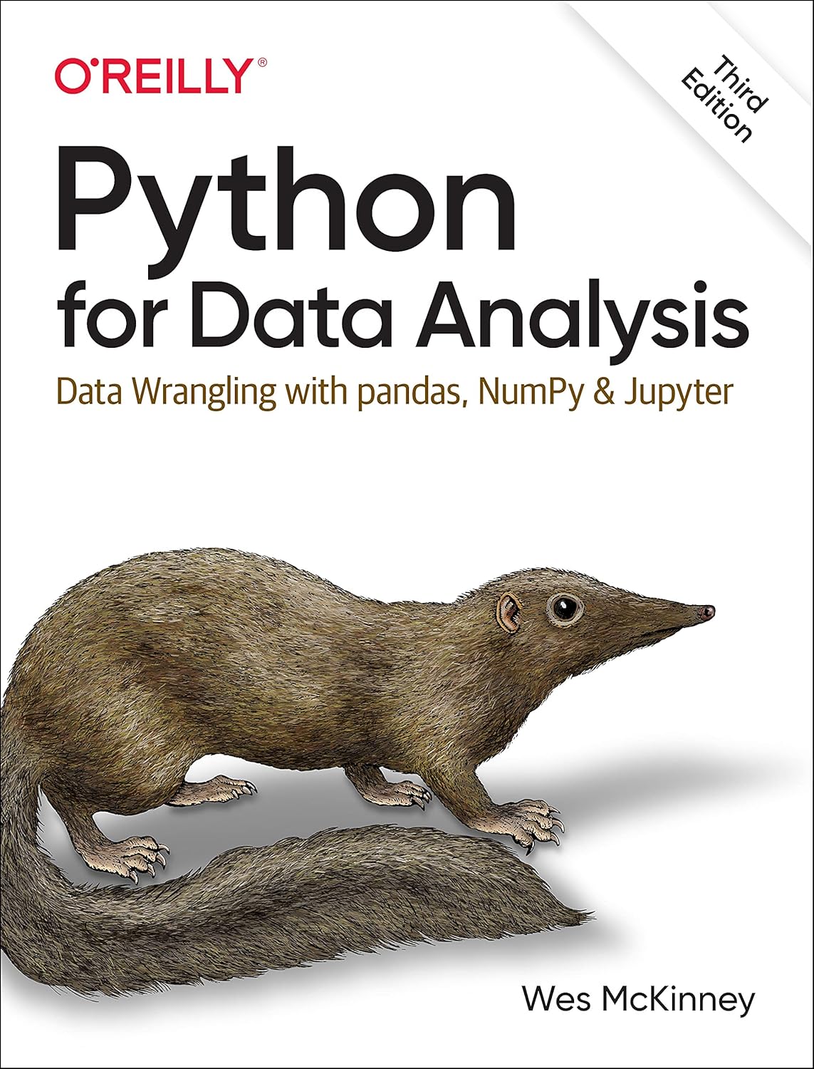 Python for Data Analysis: Master Data Wrangling with pandas