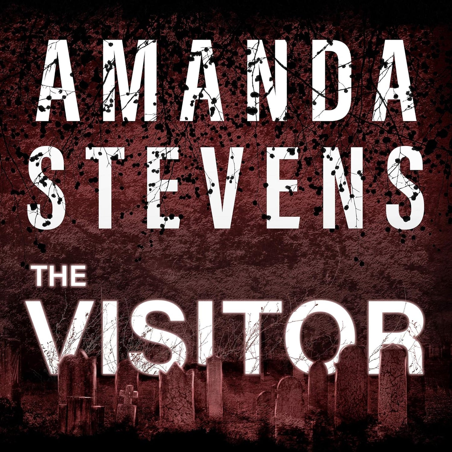 The Visitor by Amanda Stevens - A Gripping Graveyard Queen Tale