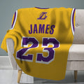 Los Angeles Lakers LeBron James 60 x 80 Raschel Plush Blanket - Game
