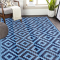 SAND MINE Reversible Mats for Outdoor and Indoor Use, 5ft x 8ft