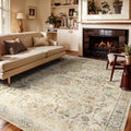 Bedroom 6x9 Area Rugs Washable Soft Living Room Rug - Neutral Vintage
