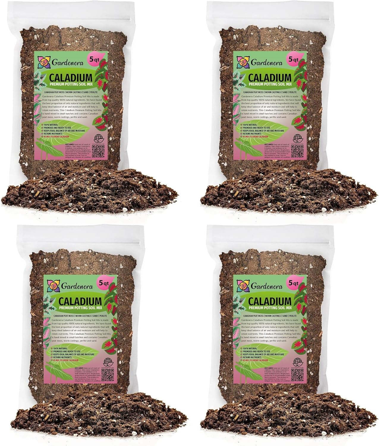 Caladium Potting Mix for Vibrant Growth and Leaf Color