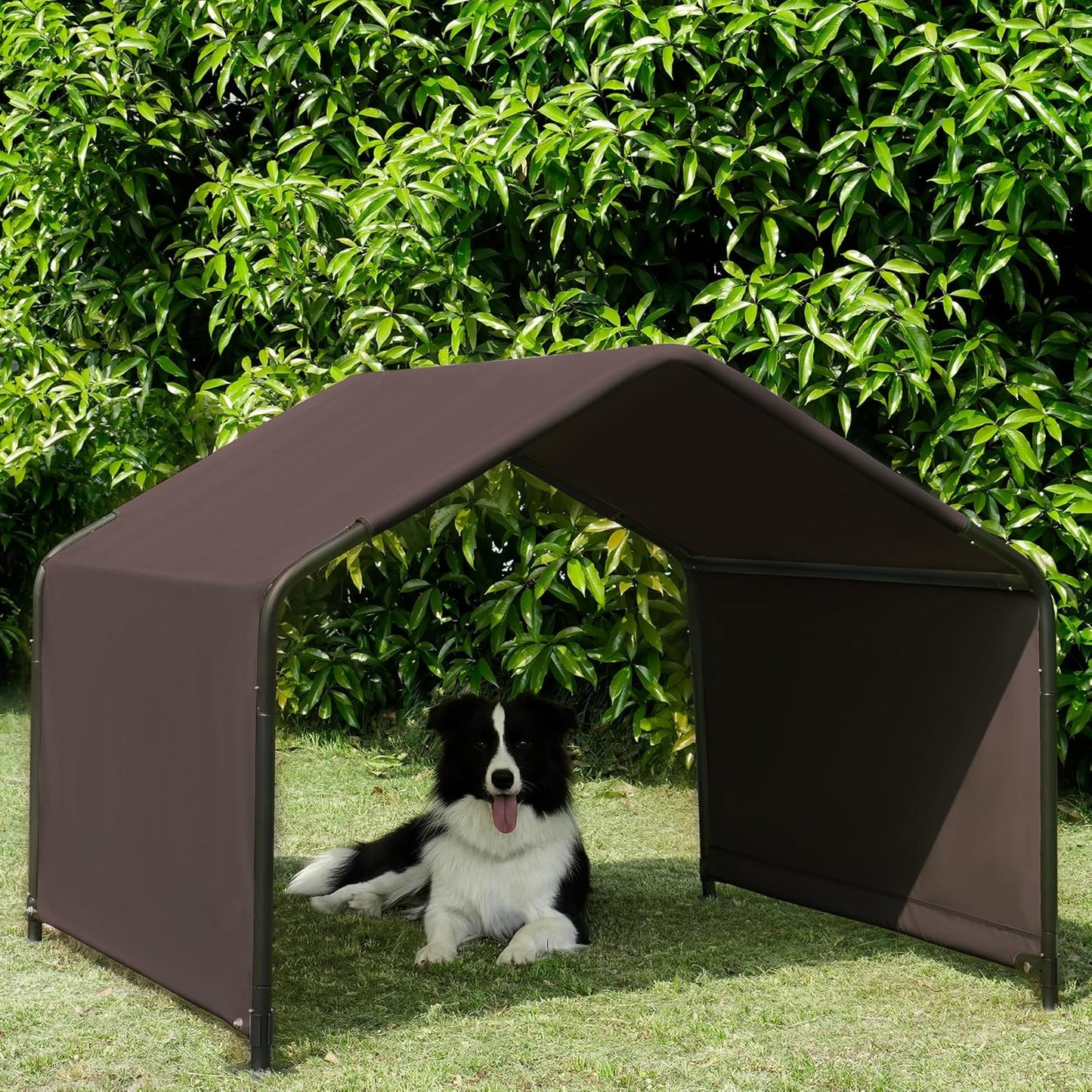 Dog Shade Shelter Outdoor Tent for Large Medium Dogs and Cats
