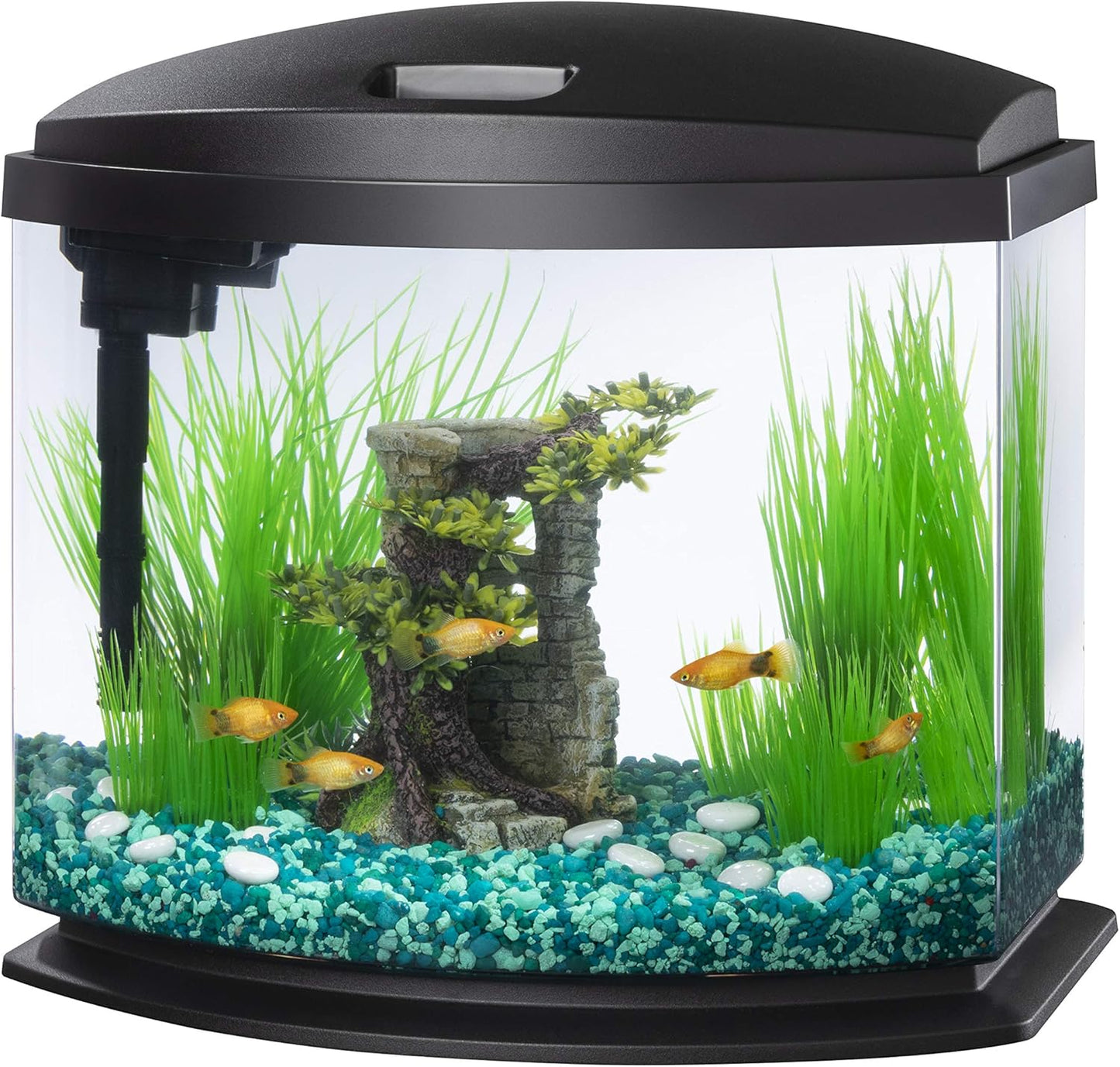 Aqueon SmartClean 5 Gallon Aquarium Kit - Easy Maintenance!