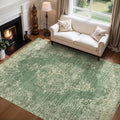 6x9 Area Rugs Washable Rug for Living Room and Bedroom