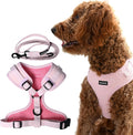 No Pull Harness and Leash Set No Choke Neoprene Dog Harness for Medium