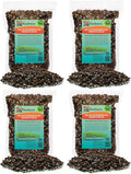 Split Leaf Philodendron Soil Mix - Expert Potting Blend for Strong