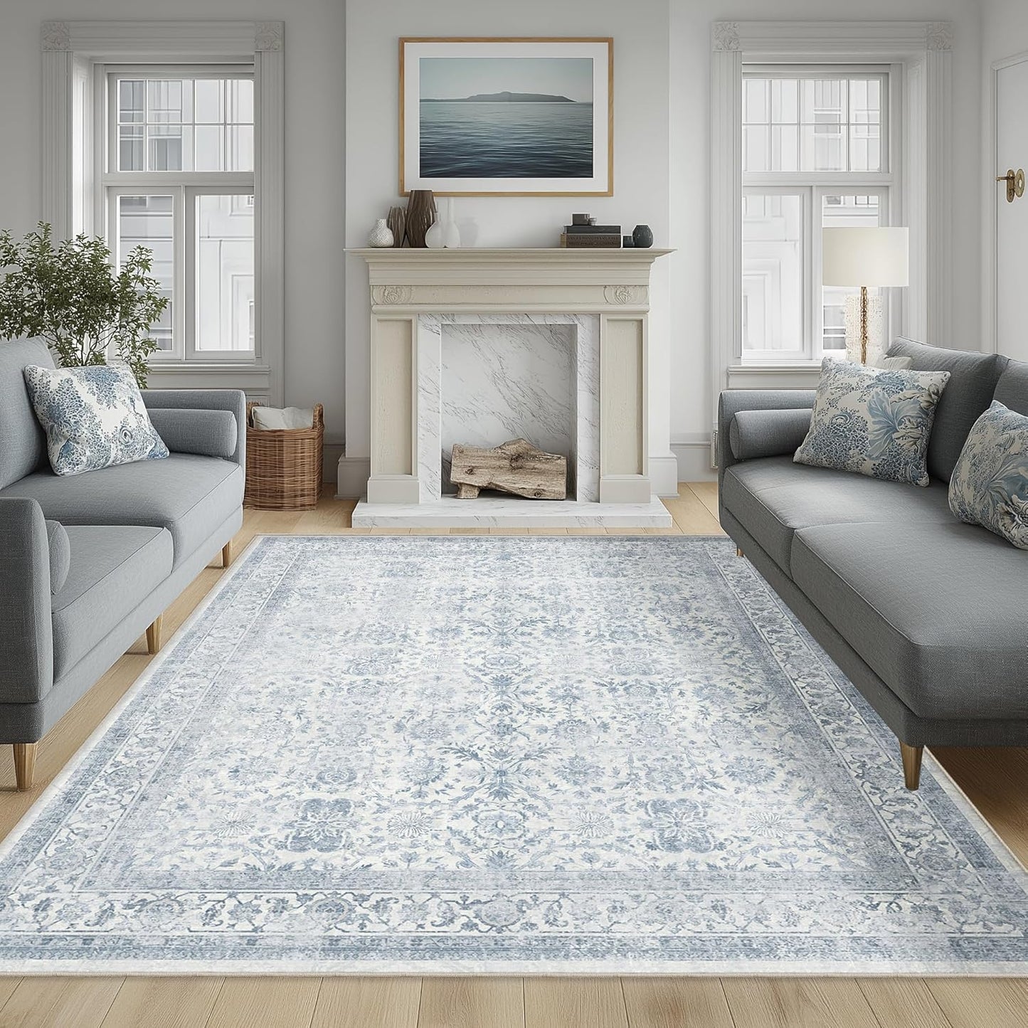 FMFUNCTEX 6x9 Washable Area Rug for Living Room and Bedroom