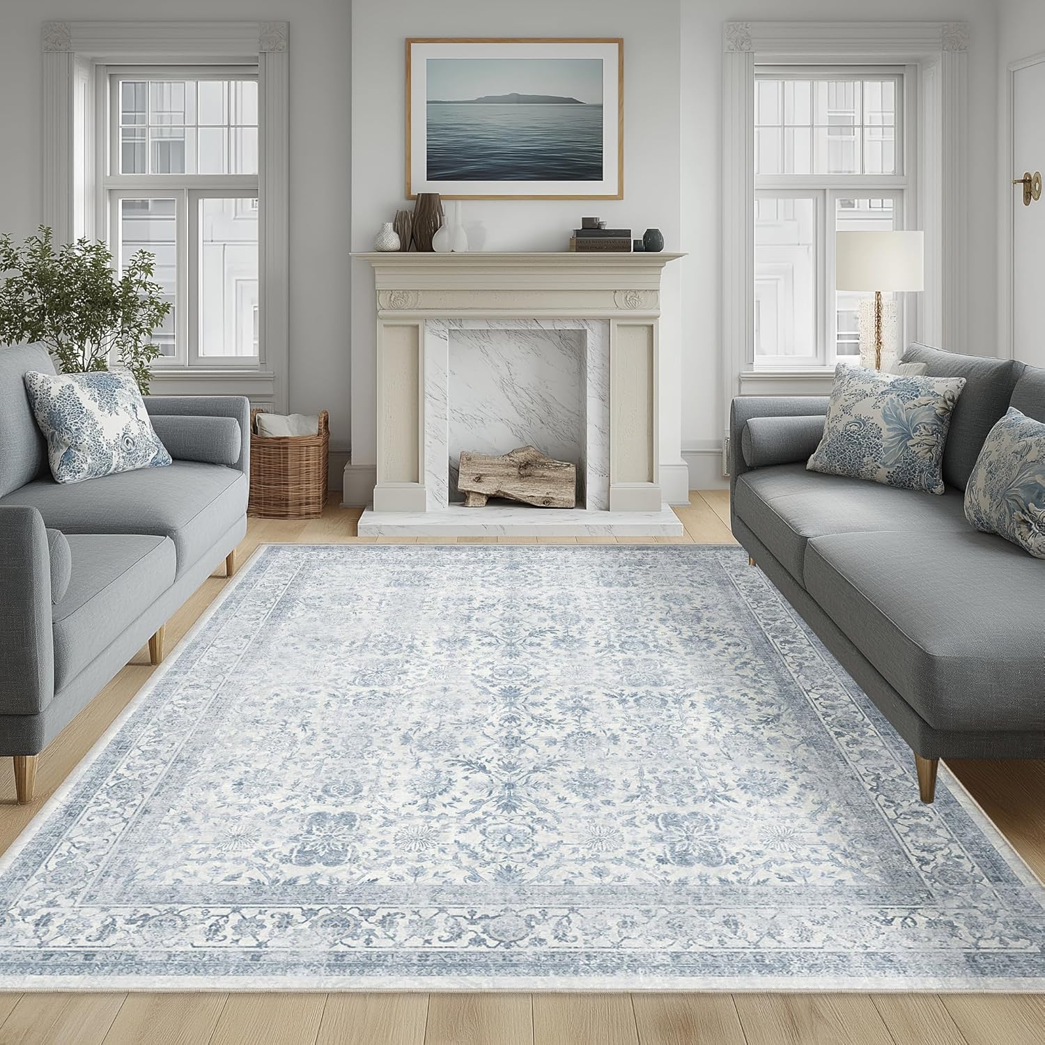 FMFUNCTEX 6x9 Washable Area Rug for Living Room and Bedroom