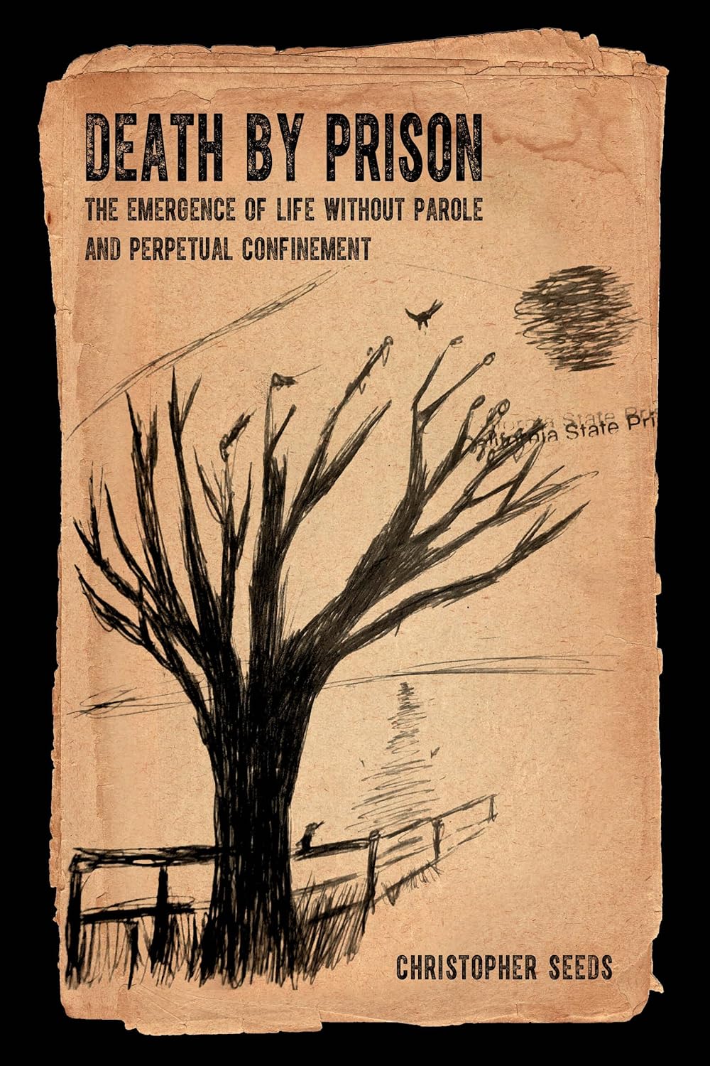 Death by Prison: Life without Parole and Perpetual Confinement
