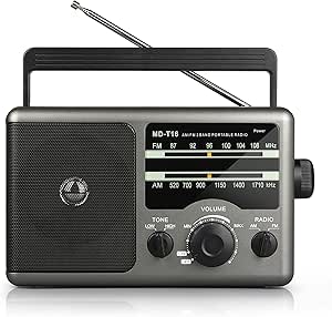 Greadio AM FM Portable Radio with Big Speaker and Earphone Jack