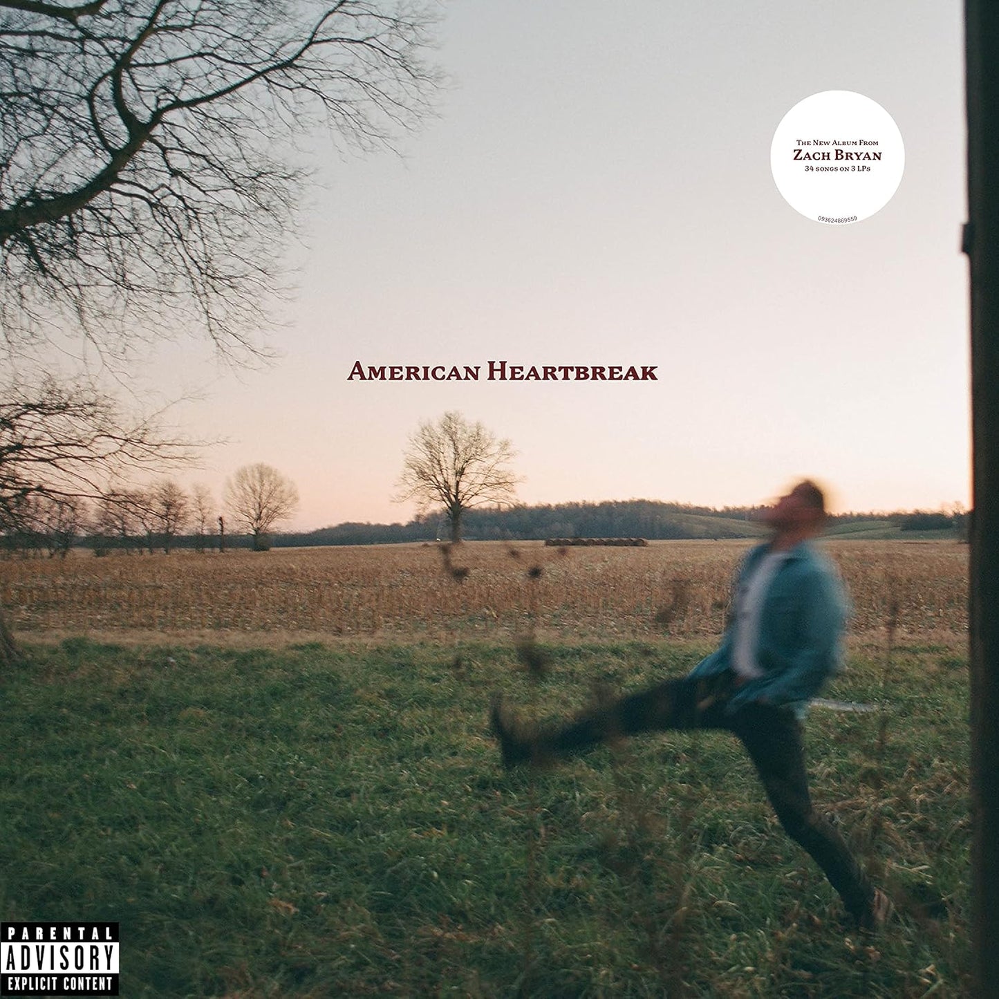 American Heartbreak by Warner Records - A Deep Musical Journey