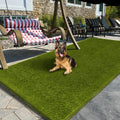 Artificial Grass Outdoor 5x10 Ft Realistic Turf Rug - Low Maintenance
