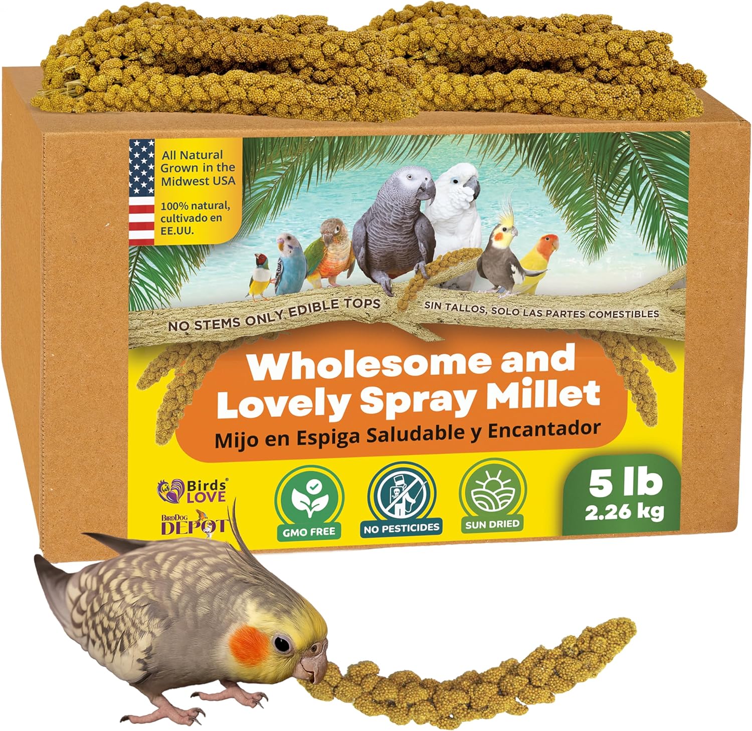 Birds LOVE Wholesome Spray Millet Non-GMO for Healthy Birds