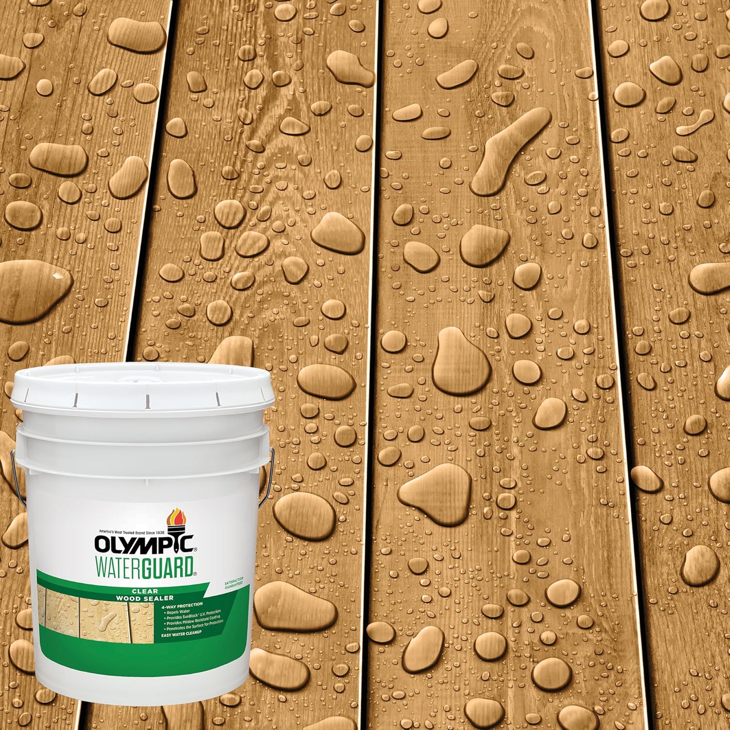 Olympic WaterGuard 5 gal Clear Exterior Waterproofing Sealer