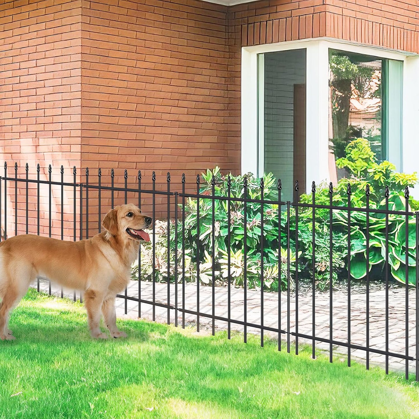 Metal Garden Fence Panels for Dogs, 30 in H x 10 ft L, Black