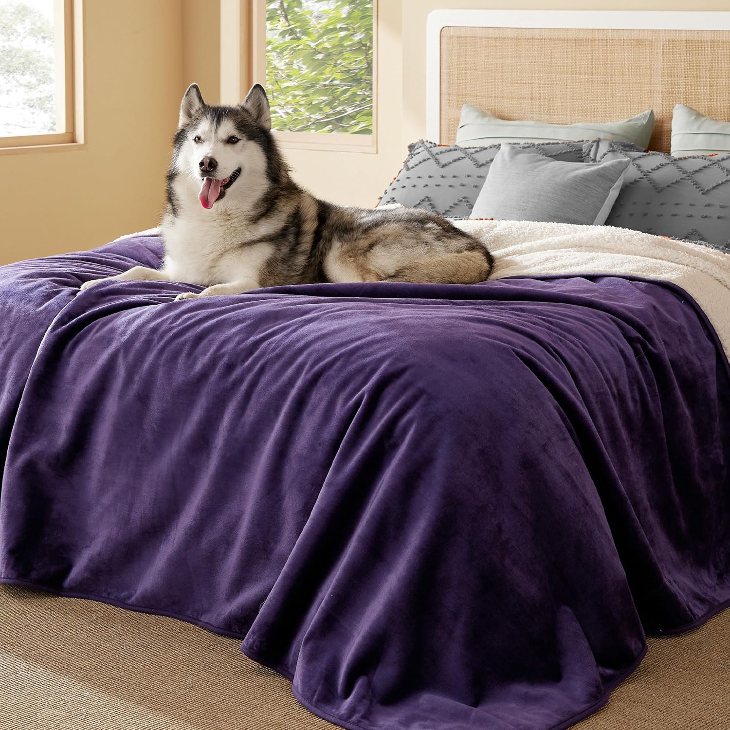 Bedsure Waterproof Blanket for Bed - Cozy Sherpa Fleece Dog Blanket