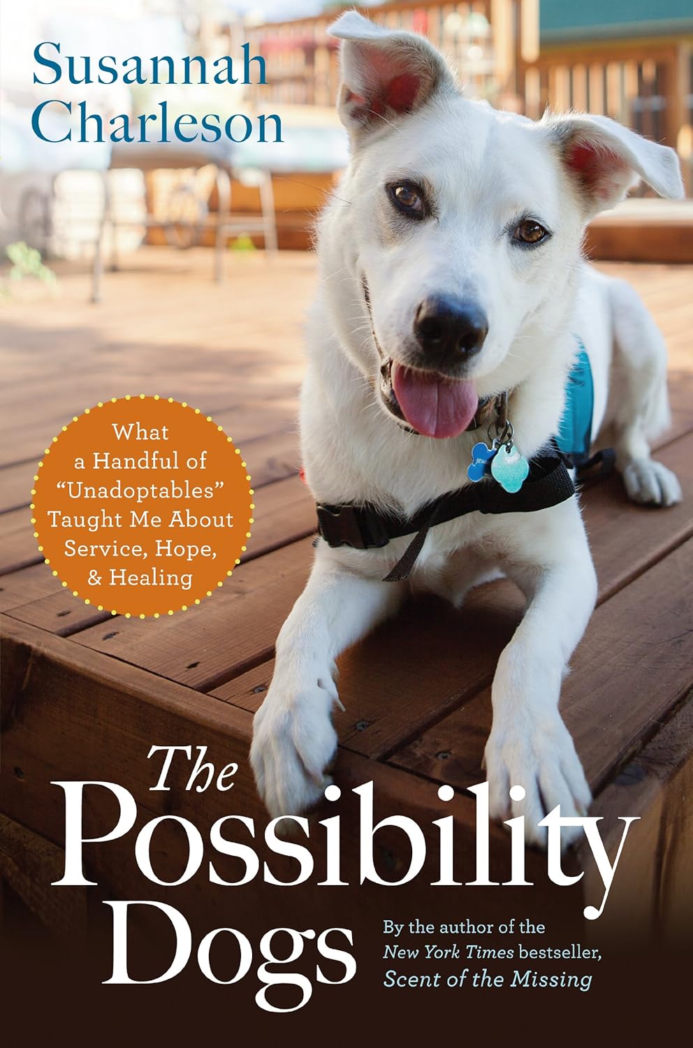 The Possibility Dogs: Unadoptables Teach Service, Hope, Healing