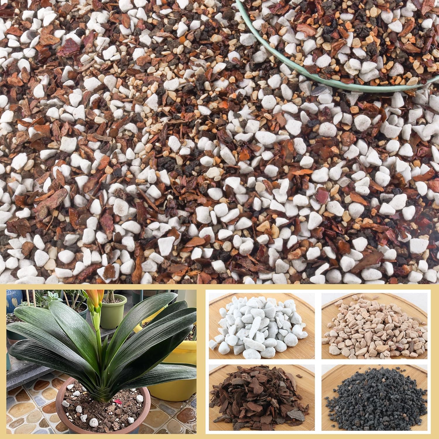10 Quart Bonsai Soil Mix for Potted Plants - Natural Organic Blend