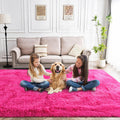 Fluffy Area Rug 9x12 for Living Room and Bedroom Decor