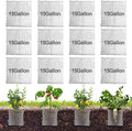 12 Pack 15 Gallon Gopher and Vole Wire Baskets - Root Protection