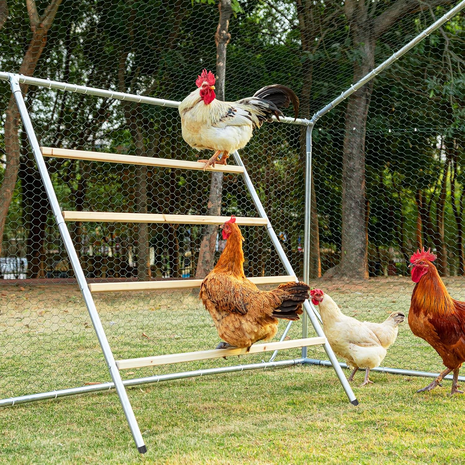 Square Chicken Roosting Perch for Backyard Poultry Fun