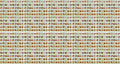Set of 1000 Assorted Flower Seed Packets - Easy to Grow Varieties